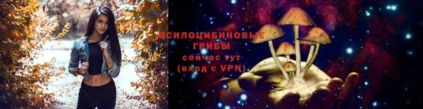 стаф Иннополис