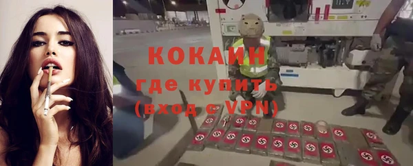 ALPHA PVP Инта