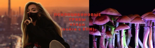 эйфоретик Инсар