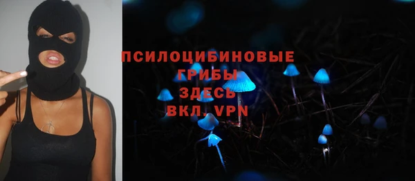 стаф Иннополис