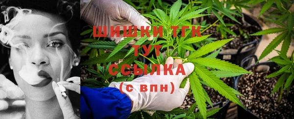 эйфоретик Инсар