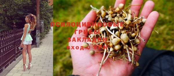 эйфоретик Инсар